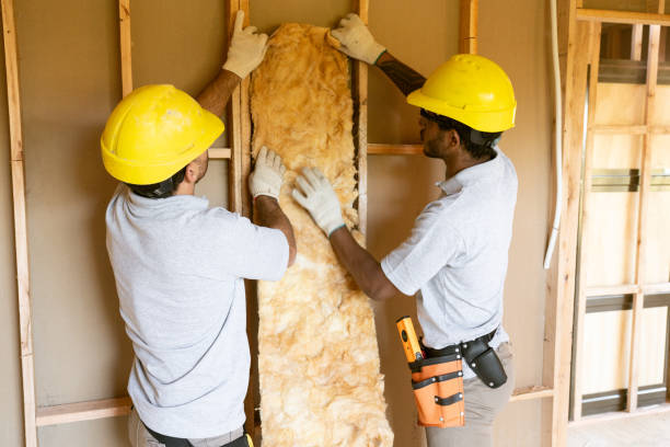 Best Home Insulation Services  in Garden City, NY